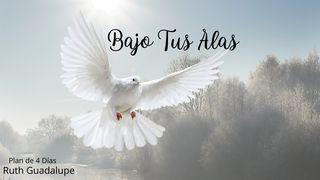 Bajo Tus Alas Salmos 118:8 Reina Valera Contemporánea