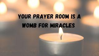 Your Prayer Room Is a Womb for Miracles أفسس 16:3-19 Hijazi New Arabic Version