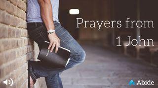 Prayers From 1 John 1 Johannes 2:15-16 Het Boek