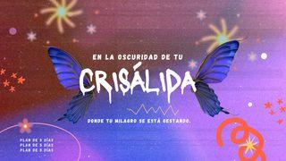 La oscuridad de tu crisálida. Lucas 8:47-48 Nueva Traducción Viviente