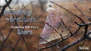 From Grumbling to Gratitude...Escaping Self-Pity's Snare Jesaja 54:2 Statenvertaling (Importantia edition)