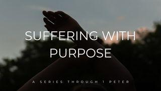 Suffering With Purpose: A 4-Part Series Through 1 Peter 1 Petrus 3:13 BasisBijbel