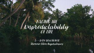 Facing The Unpredictability Of Life Spreuken 16:1 Het Boek