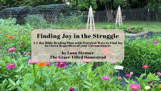 Finding Joy in the Struggle أفسس 1:6 Hijazi New Arabic Version