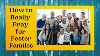 How to Really Pray for Foster Families Matthew 18:4-6 King James Version