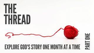 The Thread Génesis 8:1 Ñanderuete Ñe’ẽ Porã 2015