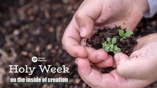 Holy Week - on the Inside of Creation John 19:38-40 New Living Translation