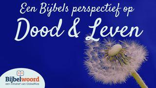 Een Bijbels perspectief op dood & leven Johannes 11:25 Het Boek