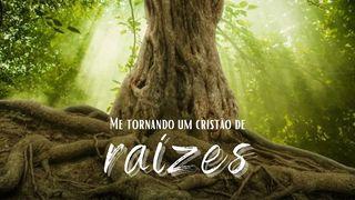 Me tornando um cristão de raízes 2Coríntios 4:16-17 Nova Almeida Atualizada