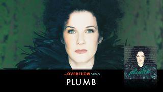 Plumb - The Overflow Devo De Spreuken 3:19 NBG-vertaling 1951