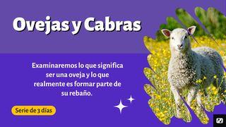 Ovejas y cabras Juan 10:27 La Biblia de las Américas