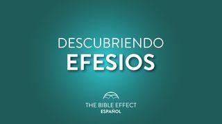 Estudio Bíblico de Efesios Efesios 4:11-15 Nueva Traducción Viviente