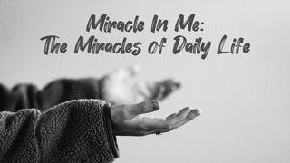 Miracle in Me: The Miracles of Daily Life John 8:7 Amplified Bible