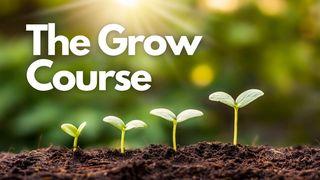 The Grow Course Hebrews 13:8 American Standard Version