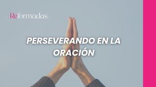 Perseverando en La Oración Colosenses 4:2-3 Nueva Traducción Viviente