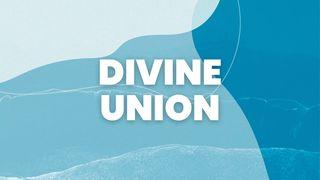 Divine Union 约翰福音 1:16-17 当代译本