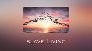 Slave Living 1 Kor 7:23 Maandiko Matakatifu ya Mungu Yaitwayo Biblia