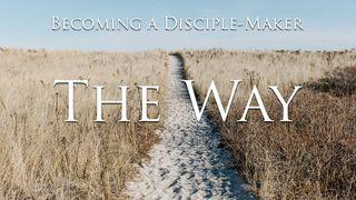 The Way John 3:20-21 New Living Translation