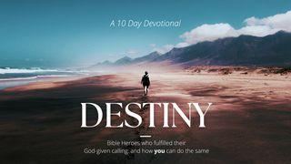 Bible Characters Who Fulfilled Their Destiny: And How You Can Do the Same De Brief van den Apostel Paulus aan de Romeinen 4:16 Statenvertaling (Importantia edition)