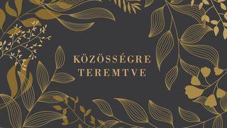 Közösségre teremtve Génesis 1:26-27 O Livro