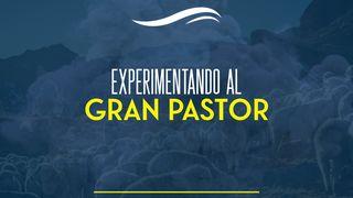 EXPERIMENTANDO AL GRAN PASTOR Salmos 23:1-2 Reina Valera Contemporánea