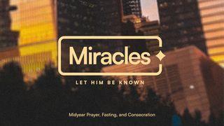 Miracles | Midyear Prayer, Fasting, and Consecration (English) Isaiah 55:4 New International Version