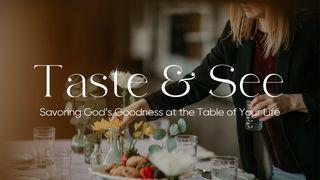 Taste & See 1 КАРЫНФЯНАЎ 11:28-29 Біблія (пераклад В. Сёмухі)