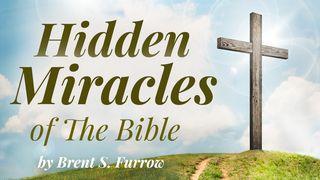 Hidden Miracles of the Bible: Secret Wisdom Within the Word 约书亚记 2:1 当代译本