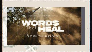 Words That Heal: Prayer's From God's Word 1 Petrus 2:24-25 BasisBijbel