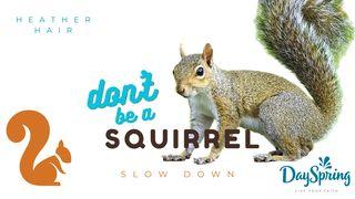 Don't Be a Squirrel: Slow Down Salmos 46:10 Nova Versão Internacional - Português