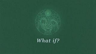 What If? Luk 3:8 Nkome LP NT Portions