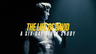 FCA Wrestling: The Life of David 2 சாமுவேல் 5:19 பரிசுத்த வேதாகமம் O.V. (BSI)