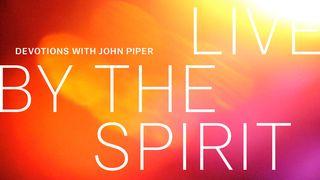 Viva pelo Espírito: Devocionais com John Piper JOÃO 1:3-4 a BÍBLIA para todos Edição Católica