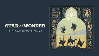 Star of Wonder: 5-Days of Advent to Illuminate the People, Places, and Purpose of the First Christmas John 10:25-30 King James Version