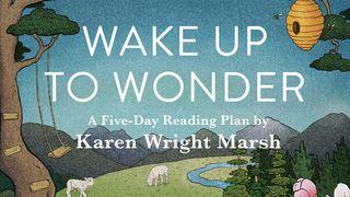 Wake Up to Wonder: 22 Invitations to Amazement in the Everyday a 5-Day Reading Plan by Karen Wright Marsh Przypowieści Salomona 21:2 Nowa Biblia Gdańska