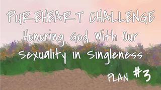 Honoring God With Our Sexuality in Singleness De Eerste Brief van den Apostel Paulus aan die van Korinthe 10:23 Statenvertaling (Importantia edition)