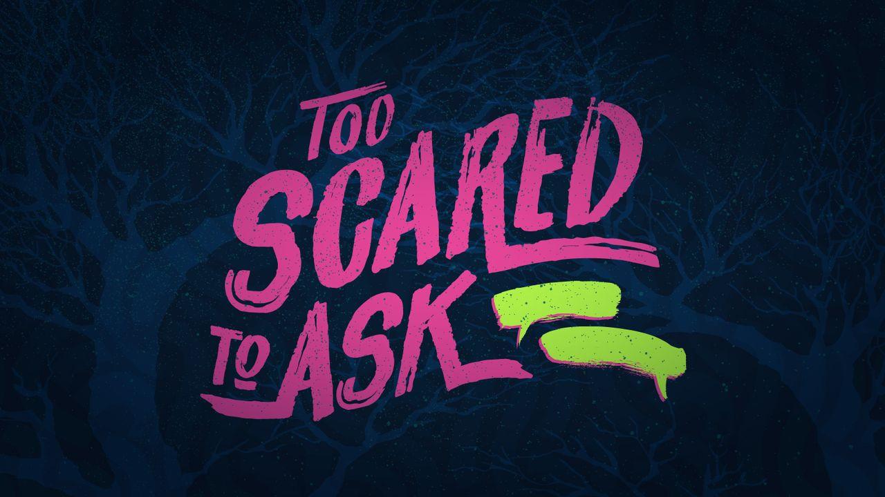 Too Scared to Ask - Real Questions & Real Answer