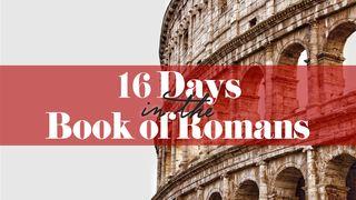 16 Days in the Book of Romans 罗马书 9:1 新标点和合本, 神版