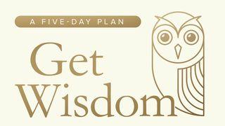 Get Wisdom De Spreuken 1:1-4 NBG-vertaling 1951