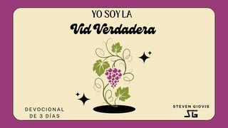 Yo Soy La Vid Verdadera San Juan 14:6 Reina Valera Contemporánea