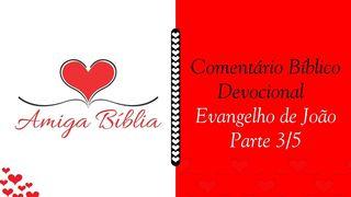 Amiga Bíblia - Comentário Devocional - João - Parte 3/5 João 8:3-7 Nova Bíblia Viva Português