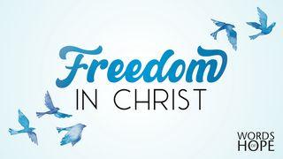 Freedom in Christ Psalmen 141:4 Het Boek