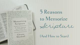 5 Reasons to Memorize Scripture (And How to Start) Mateo 12:36-37 Nacom Pejume Diwesi po diwesi pena jume diwesi xua Jesucristo yabara tinatsi