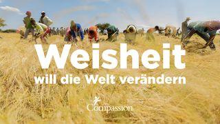 Weisheit will die Welt verändern Genesis 1:28 beibl.net 2015, 2024