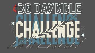 30 Day Bible Challenge Deuteronomium 5:6 Het Boek