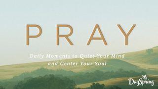 Pray: 14 Daily Moments to Quiet Your Mind & Center Your Soul Spreuken 17:9 Het Boek