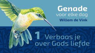 Genade voor elke dag (1) Het Evangelie van Lukas 15:10 Statenvertaling (Importantia edition)