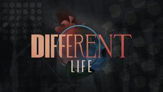 Different Life Exodus 19:4-5 New International Version