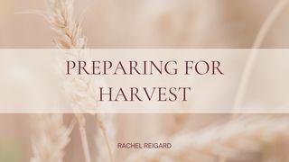 Preparing for Harvest Leviticus 23:33-36 New Century Version