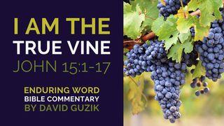 I Am the True Vine: Bible Commentary on John 15:1-17 मत्ती 21:43 डोगरी नवां नियम